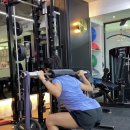 댓츠피티 이미지