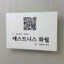 에스트니스화월