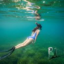 (주)제주프리투어 | 2025년 제주 프리다이빙 투어_비용과 일정, 한방에 완벽 정리!