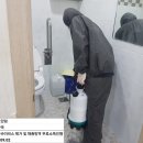 금빛크린 이미지