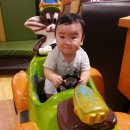 자동차사랑 이미지