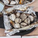 [벌교현지인맛집] 진짜가 나타났다! 장도웰빙꼬막정식에서 인생 꼬막 맛보고 온 솔직 후기 제대로 털어봄 🔥