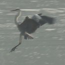 남양사南陽祠 이미지