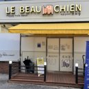 강아지놀이터 | 강아지 스트레스가 날아가는 원주 강아지놀이터, 르브쑝 후기