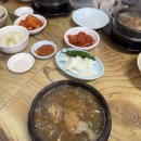 옥하참옻닭 이미지