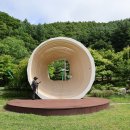 백두대간(빼재~삼봉산~소사고개~초점산~대덕산~덕산재)(260621, 일)(낙 20-16구간) 이미지