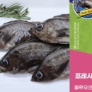 참신선