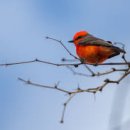 안중레포츠 공원 체육시설 이미지