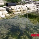 화백나무 유아숲체험원 이미지