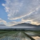 연근농장 이미지