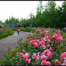 배산체육공원 축구장 이미지