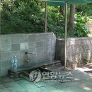 묘안옹달샘 연합뉴스