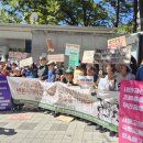 "새만금 신공항, 미군기지 군산공항과 '공역 중첩' 위법" 이미지