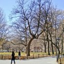 초정세탁소 이미지