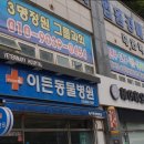 이든동물병원 이미지