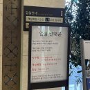 선진농협 고군지점 하나로마트 | 진도 쏠비치 :: 인피니티 풀, 올인크루시브, 취사형 리조트 후기, 베이커리 케이크, 조식 석식