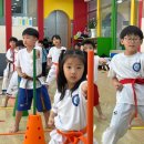 맑은누리태권도 이미지