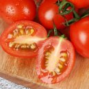 토마토 이미지