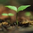 으뜸농원 이미지