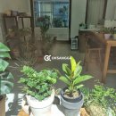 오케이상가동영부동산중개 이미지