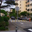 우면산6-5 이미지