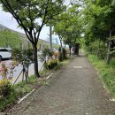 회재로 자전거도로 이미지