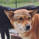 송파사랑약국 이미지