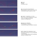 곡율 Daum카페