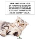 이화동물병원 네이버블로그
