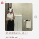 애니플라잇