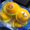 수현스키친 | 🍊제주대생이 되었어요_제주대 학점교류 후기_8