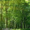 용인대가온태권도 이미지