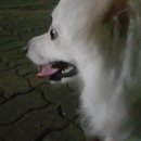 행복한밤 이미지