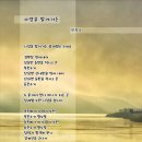 안복수