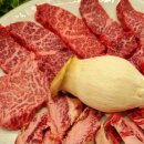 대박황칠코리아 이미지