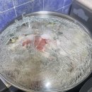 명품김치찜 | 잃어버린 나의 저녁. 즉흥적인 외식. 화명동 명품학장소갈비찜후기 [내돈내산]