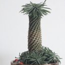 마옥농장 이미지