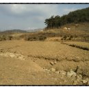 지리산금종영농조합법인 이미지