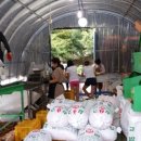 우리시장 이미지