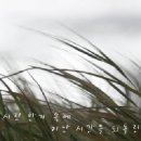 [45번째 음악릴레이] 이소라 - 바람이 분다 이미지