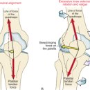 바른 피티(PT)생활 백석점 이미지