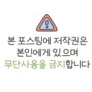 엘텐플러스