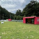 데일리 207 이미지