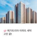 메가트리아세탁소 이미지