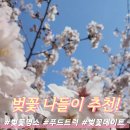 선진공원 주차장 | 선진공원/선진리성/벚꽃명소/사천가볼만한곳/사천해안공원/경남사천/사천드라이브/사천해전기념공원...