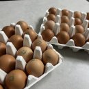 홍천자연랜드 이미지