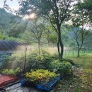 정재농장 이미지