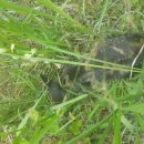 서울시야생동물센터 이미지