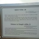 동일리 지석묘 4호 | 고인돌을 제주 대정읍에서 보네~~~