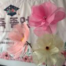 아이린유치원 | 자이언트플라워 창업(여성 저비용창업)-자뎅드아이린 실크자이언트플라워 자격증반